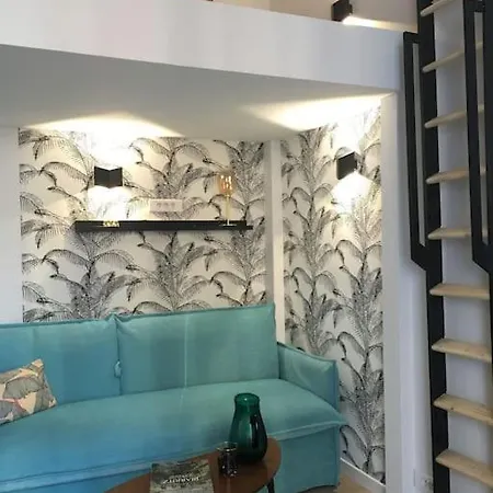 Elegant Au Centre De ビアリッツ